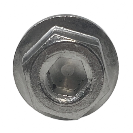 Silver hex-head bolt with washer for Pentair seal plate-to-strainer pot