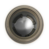 A&A Style 2 Collar (Gold) - Top View