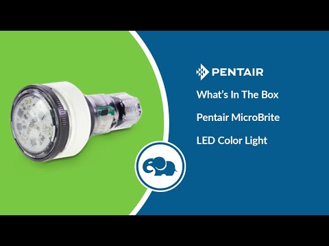 Pentair MicroBrite Color LED Light 100' | 620425