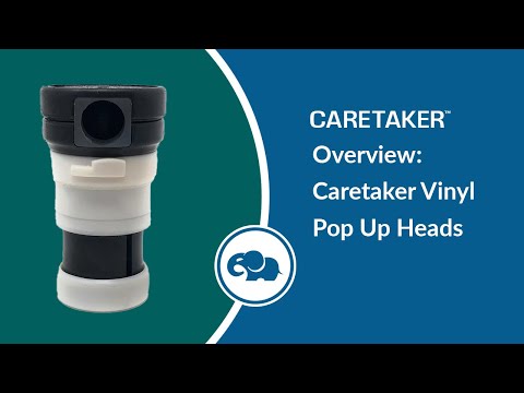 Caretaker 99 High Flow Cleaning Head (Light Cream)