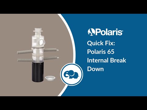 Polaris Vac-Sweep 165 / 65 and Turbo Turtle Mechanism