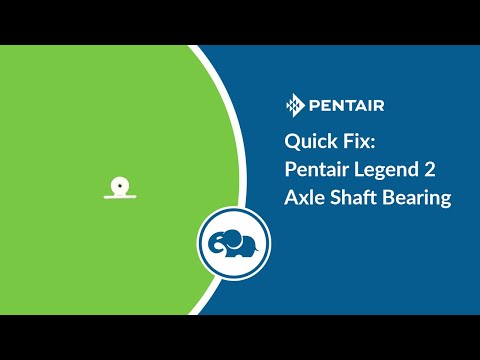 Pentair Kreepy Krauly Legend / Legend II / Platinum Turbine Bearings - Grey (2 Pack)