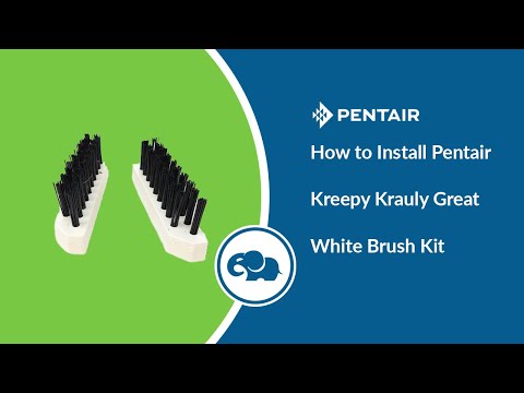 Pentair Kreepy Krauly Great White / Dorado Center Brush Kit (Set 2 of 2)