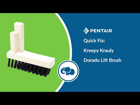 Pentair Kreepy Krauly Great White / Dorado Lift Brush