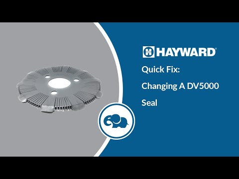 Hayward DV5000 Disc