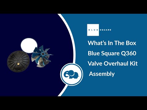 Blue Square Q360 Valve Overhaul Kit