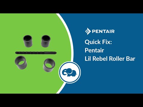 Pentair Lil Rebel Roller Kit