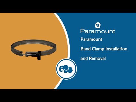 Paramount In-Floor Cleaning System Band Clamp (Stainless Steel) | 005-302-3570-00