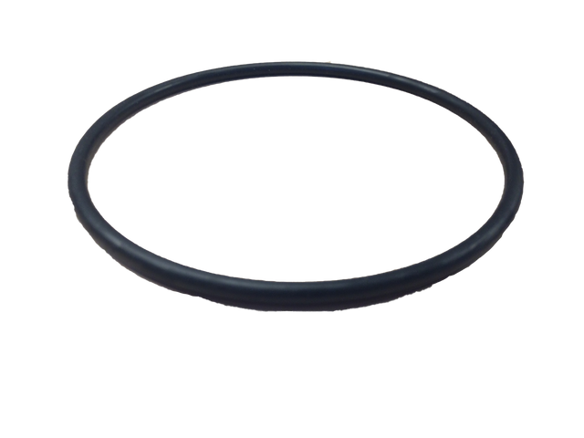 A&A LeafVac Canister O-ring - ePoolSupply